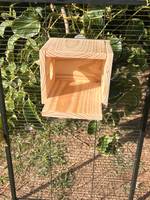 Nichoirs en bois pour hamsters transfrontaliers, mini cochons d'Inde, cochons d'Inde, nichoirs chauds pour animaux de compagnie, ratons laveurs, maisons en bois pour animaux, cages à oiseaux