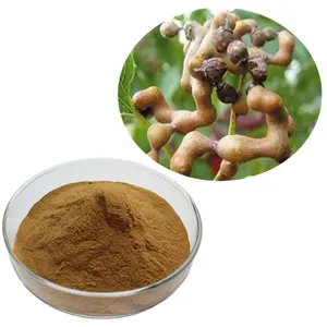 Organicinartificial Japanese Raisin Tree Seed Extract powder