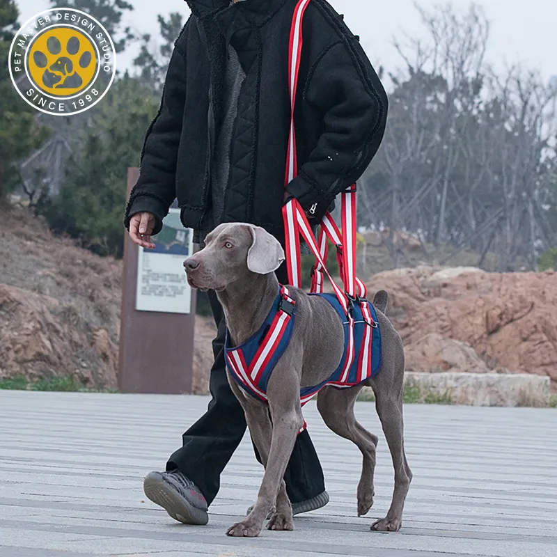 SinSky Vorder-und Hinterbein Traktion gurt Verletzung Behinderter älterer Hund Hilfs gurt Unterstützung Hunde geschirr Haustier Hilfs gürtel