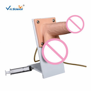 Dummy-Modell für den Unterricht Bildung Wissenschaft modell Geburten kontrolle Modell Männlicher Kondom-Simulator - Product Image 1