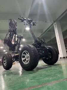 Nouveau design 2025, <span class=keywords><strong>quad</strong></span> électrique pliable à quatre roues, 8000W, capacité de la batterie 60Ah, puissance unisexe, chariot de golf, scooter pour adultes - Product Image 6