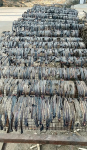 Vers de terre séchés de qualité alimentaire de haute qualité en provenance du Vietnam traitement brut pour usage alimentaire offre d'exportation à chaud - Product Image 4