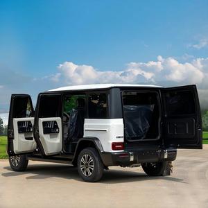 Prix direct usine, économique, nouveau véhicule électrique à énergie renouvelable, mini-voiture avec climatisation, couleur personnalisée, autonomie 201-300 km, idéal pour les seniors - Product Image 6