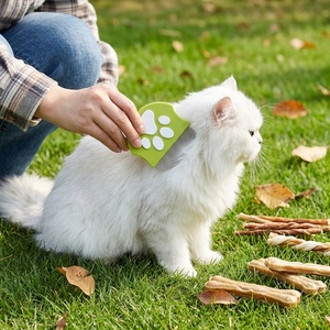 Mini peine de plástico curvo para eliminar el pelo facial de mascotas, para eliminar la caspa, los nudos y las pulgas en perros y <span class=keywords><strong>gatos</strong></span> - Product Image 6
