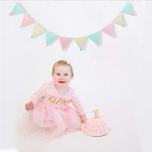 Matériau recyclé drapeaux multicolores bannière feutre bruant - Product Image 2