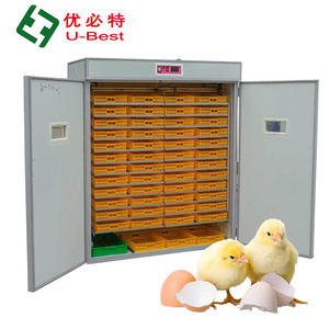 Incubadora de Huevos Automática de 220V, Grande, de PP y PC, Nueva, para Uso Doméstico, para Pollos, Gansos, Emús, Avestruces, Patos, Reptiles y Pavos - Product Image 3