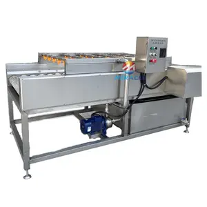 Industrial Automatic Parallel Roller Brush Vegetable and Fruit Washing Machine Mango Washing Drying Machine