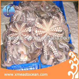Mejor venta delicioso marisco <span class=keywords><strong>congelado</strong></span> <span class=keywords><strong>pulpo</strong></span> - Product Image 3