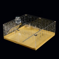 Nouvelle conception DIY, enclos transparent en acrylique pour petits animaux, cage respirante extensible pour cochons d'Inde et hamsters