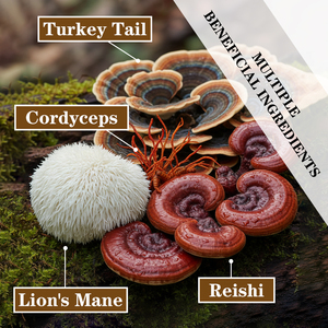 Hot Sale Mushroom Gummies With Total Carbohydrate Improve Memory Clarity Increase Focus Concentration Dietary Gummies - Product Image 6