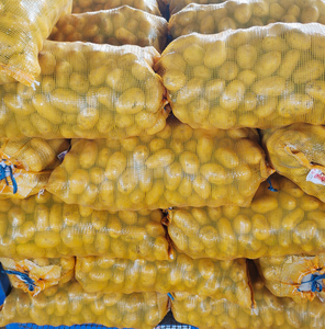 Nueva cosecha fresca de grado superior de alta nutrición certificada <span class=keywords><strong>Patatas</strong></span> blancas y rojas proveedor mayorista - Product Image 1