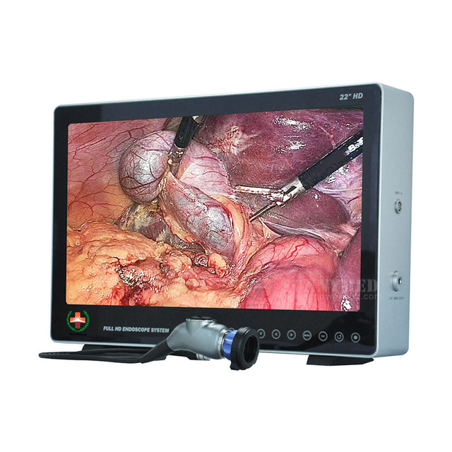 SY-PS050 Veterinary Full HD Endoscope Camera Orthopedic Laparoscopic Endoscopy Rigid Endoscope Medical With Recorder