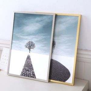Cornice Portafoto in Metallo A2 A3 A4 <span class=keywords><strong>30x40</strong></span> 50x70, Cornice Sottile in Lega di Alluminio da Parete per Poster e Immagini - Product Image 3