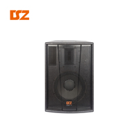 Système audio OEM d'usine avec haut-parleur large bande de 10 pouces (250W-500W) pour scène extérieure et performance intérieure