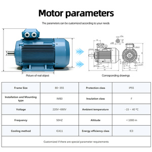 มอเตอร์ ABB รุ่น M3BP ซีรีส์ 0.37KW~900KW 2 โพล 3000 รอบต่อนาที มอเตอร์เหนี่ยวนำแบบอะซิงโครนัสสามเฟส AC 400V 50Hz IP55 IC411 - Product Image 6
