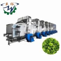 Doorlopende Droger Fruit Groenten Droger Snoep Doorlopende Droger, Fruit Groente Mango Cassave Koffie Bonen Gaas Banddroger