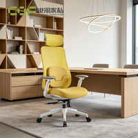 Chaise de bureau avec support lombaire, chaise de bureau ergonomique avec coussin, chaise de bureau ergonomique réglable, chaise de bureau entièrement en maille
