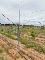 Sistema de Postes para Enredaderas de Uva con Estructura de Acero Galvanizado Resistente y Todos los Accesorios