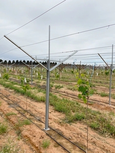 Mạ kẽm cấu trúc mạnh mẽ bảng thép nho đầu hồi <span class=keywords><strong>trellis</strong></span> Hệ Thống Bài với tất cả các phụ kiện - Product Image 2