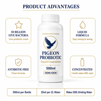 Probiotique Liquide Hydrosoluble pour Pigeons – Additif pour l'Eau Potable – Soutien à la Santé Intestinale – Bouteille de 500 ml pour Oiseaux de Course – Vente en Gros