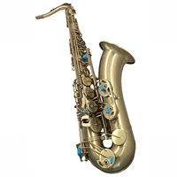 Professional Bb Tenor Saxophone TS300S Vintage Antique Brushed Bronze Finish Brass Wind Instrument Custom Logo Full Accessories