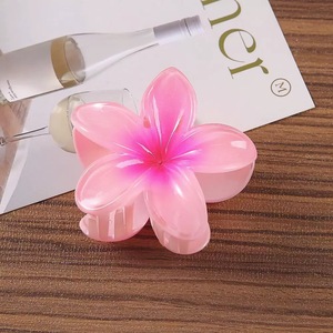 Pinza para el Cabello con Forma de Flor de Huevo en Colores Pastel, Accesorio para el Cabello Transparente Inspirado en Vacaciones Turísticas - Product Image 6
