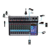 TEYUN Console audio DJ numérique professionnelle 12 voies Carte son et microphone avec diffusion en direct pour ordinateurs en métal