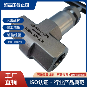 Valve à aiguille haute pression en acier inoxydable Ss-Nv10-Tf4, filetage interne 70Mpa Npt3/8 pour usage industriel - Product Image 4