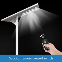 Farolas Solares LED para Exteriores con Clasificación IP65, Garantía de 3 Años y Control Remoto para Instalaciones en Proyectos