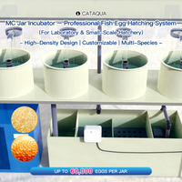 Incubateur d'œufs de poisson OEM ODM personnalisé, vente en gros directe d'usine, pour l'élevage de tilapia, de truites et de alevins en pisciculture