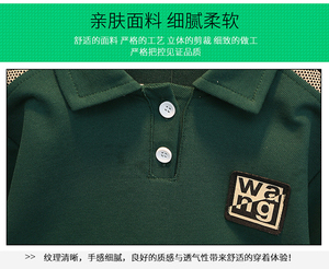 Set Pakaian Polo Musim Panas Anak Laki-Laki Kemeja Lengan Pendek Bergaris Hijau & Celana Pendek Kasual Dua Potong Pakaian Anak Set Balita Bernapas - Product Image 6