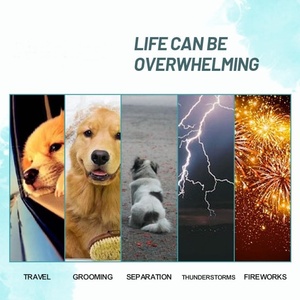 Masticables Calmantes para Perros con Melatonina, Promueven el Alivio del Estrés y la Ansiedad, Suplemento para Mascotas, Bajo Pedido Mínimo - Product Image 3