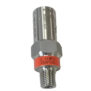 โรงงานขายส่งสแตนเลส 304 316 3/4in-20UNEF-2B อุปกรณ์นิรภัยสำหรับอากาศและก๊าซ - Product Image 2