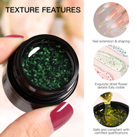 Fournitures pour ongles Série Fleur de Gelée 36 Couleurs Séchage Rapide Écologique Sans TPO Sans HEMA Gels d'Extensions Personnalisables Logo Personnalisé