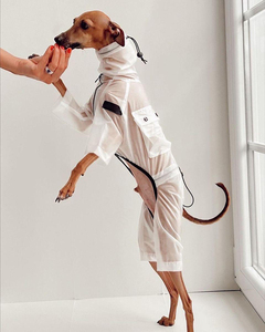 Chaqueta <span class=keywords><strong>de</strong></span> lluvia para <span class=keywords><strong>perro</strong></span>, mono con bolsillo para exteriores, impermeable transparente resistente al <span class=keywords><strong>agua</strong></span> para <span class=keywords><strong>perro</strong></span> grande - Product Image 4