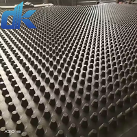 Feuille de fossette de panneau de Drainage de HDPE de géocomposite personnalisé par usine pour l'imperméabilisation utilisée dans l'eau d'enfouissement de pelouse de jardin de toit