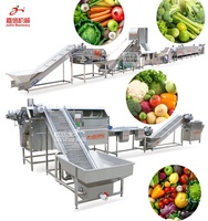 Bubbel Reinigingsmachine Aardappelchips Koolsla Salade Groente Fruit Wasmachine Verwerkingslijn