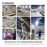 Farola Solar Inteligente FORIDO con Cámara CCTV Opcional, Pantalla LED y Otras Funciones para Proyectos de Alumbrado Público