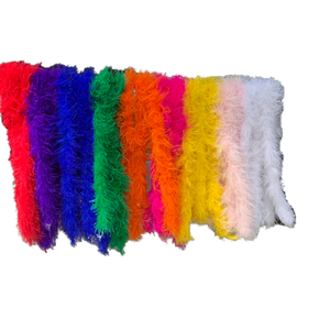 Plumes d'autruche colorées teintées sur mesure en gros pour artisanat, idéales pour fêtes, mariages, décoration intérieure – Promotion à prix abordable - Product Image 5