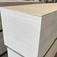Feuilles durables de silicate de calcium Climats extrêmes Finition lisse Planches de support murales Résistance extrême aux intempéries Intérieur Extérieur Maison