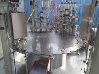 Machine d'emballage rotative automatique de sachets debout de lait de soja avec bec verseur pour remplissage et capsulage