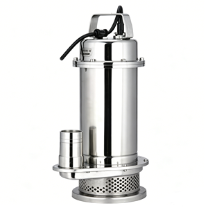 <span class=keywords><strong>Pompe</strong></span> submersible compacte 220V QDX entièrement en acier inoxydable 0,25KW à 0,55KW DN 6mm à 18mm 2900 tr/min avec cylindre de refoulement - Product Image 1