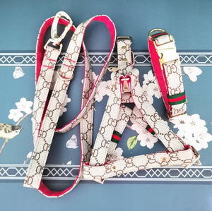 Ensemble laisse et harnais pour chien, articles de luxe pour animaux de compagnie, harnais de promenade réglable en maille, harnais pour chien doux et respirant pour petits chiens - Product Image 1
