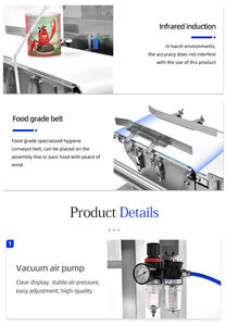 Verifique Pesador Máquina Food Alta Precisão Verifique Pesador Alta Velocidade Verifique Pesador - Product Image 6