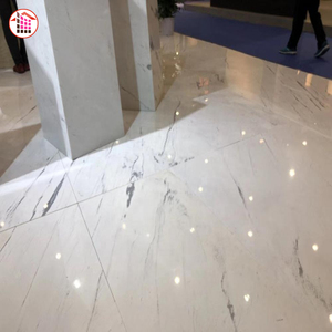 Mármol Blanco Polaris Grecia, Baldosas de Mármol Blanco Yugoslavia Sivec, Losas de Piedra, Azulejos LOVE Home Stone Dolomite Pulido de 20 mm GR - Product Image 2