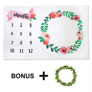 Regalo de ducha Mantas de hitos mensuales Súper suaves para bebés recién nacidos - Product Image 2