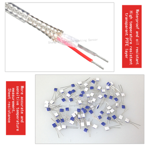 مستشعر حرارة <span class=keywords><strong>PT100</strong></span>/PT1000 ثنائي الأسلاك، مقاوم للحرارة العالية، من الفولاذ المقاوم للصدأ، تصنيف IP68، متاح للتصنيع حسب الطلب للاستخدامات الصناعية - Product Image 2