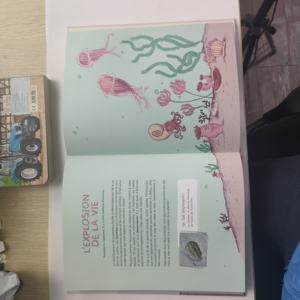 Vente en gros 6-12 Mois Tissu Tissu Livre Montessori Éducation Précoce Apprentissage Livre de Bain pour Enfant Apprentissage <span class=keywords><strong>Français</strong></span> - Product Image 4