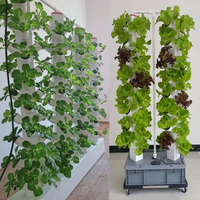 Système hydroponique vertical à circulation automatique AGG avec minuterie, tour en PE de qualité alimentaire, pompe submersible, irrigation aquaponique/aéroponique