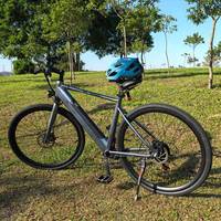 E Mtb 700C Elektro Mountainbike 36V 250W Bicicleta eléctrica con batería oculta Precio barato